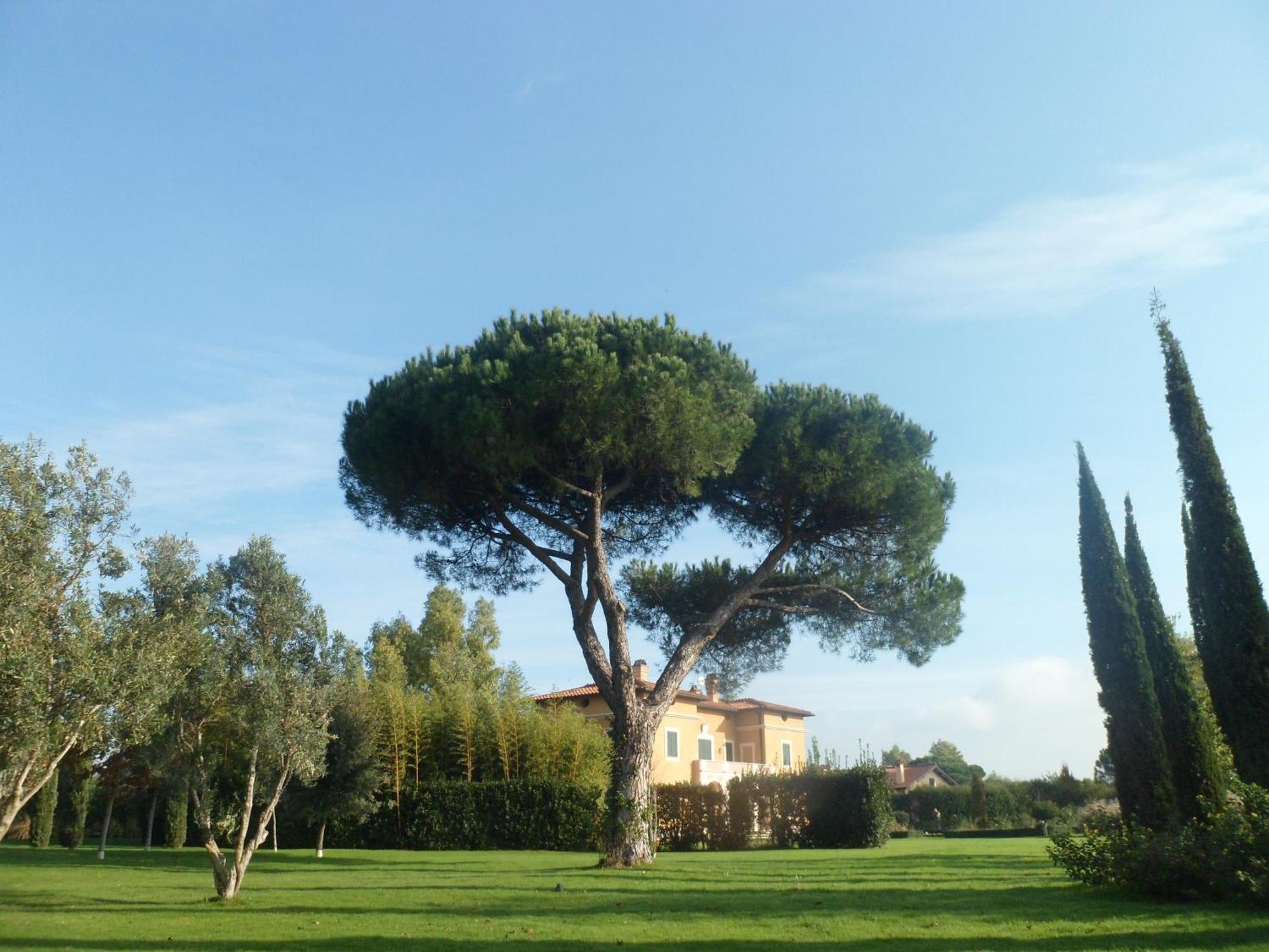 Casale Di Tormaggiore Villa And Country Suites Pomezia Dış mekan fotoğraf