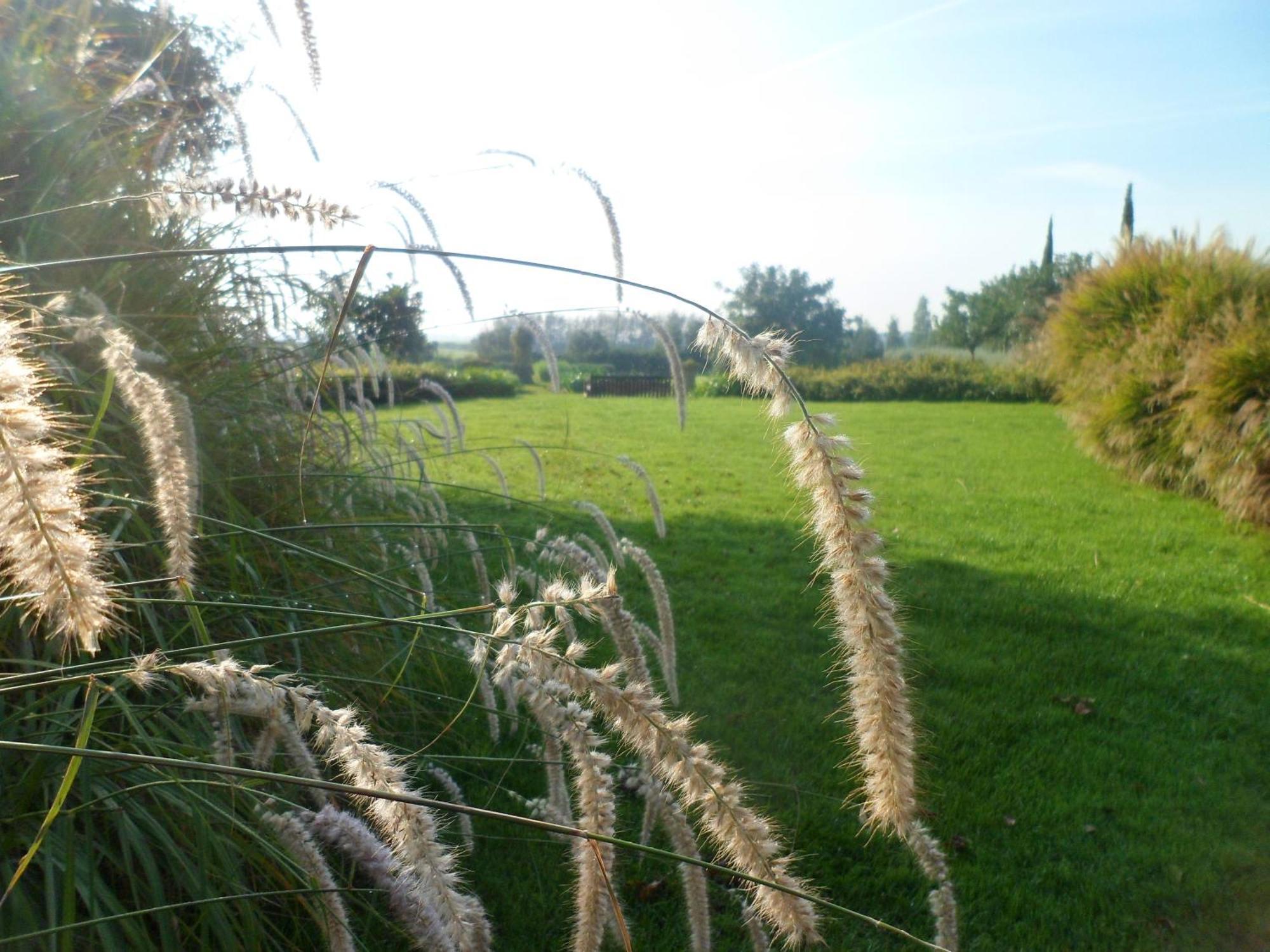 Casale Di Tormaggiore Villa And Country Suites Pomezia Dış mekan fotoğraf